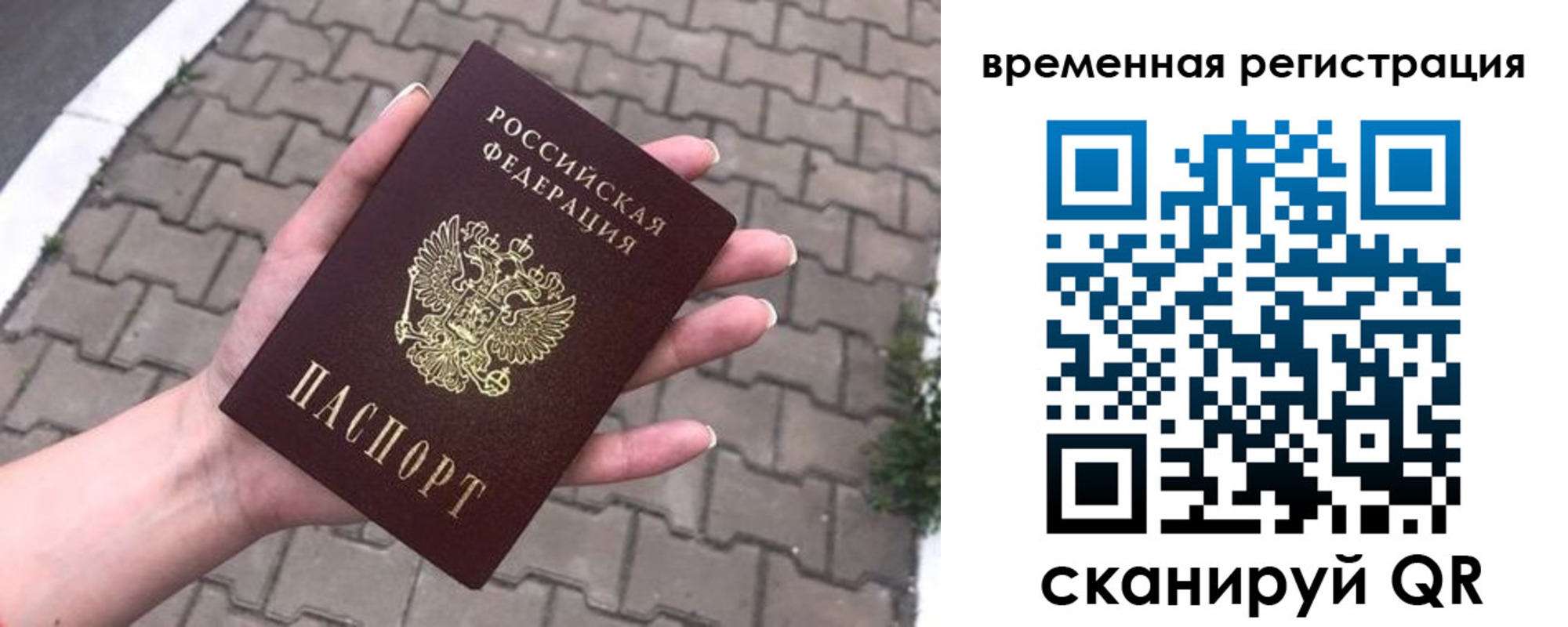 пропишу в квартире в Владимире